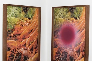 The Book of the Holy Face Series