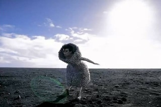 Bj&#246;rk wearing the bell dress