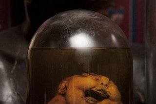 Baby &#39;Junior&#39;