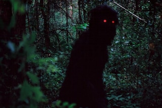 UNCLE BOONMEE WHO CAN RECALL HIS PAST LIVES (2009)