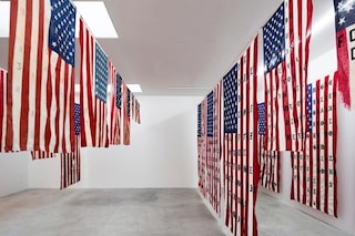 Cali Thornhill Dewitt’s 29 Flags