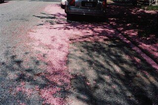 'Void' by Sheena Callage