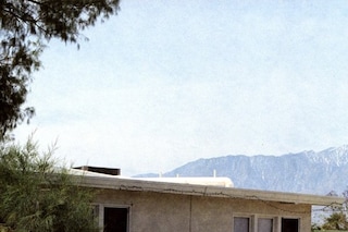 &quot;Sad groceries&quot; by Peter Sutherland