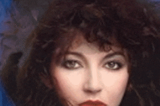 kate bush tumblr