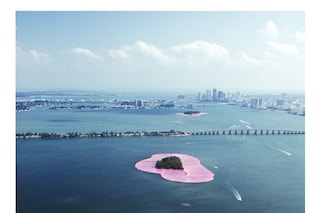 1Christo-surrounded_islands