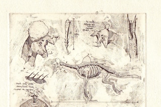 Anatomy of a sea monster in mirror- James Trimmer