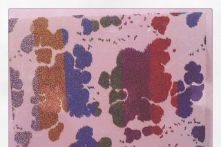  Couch Pattern - Jonas Wood: 18x18 inches 