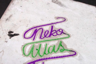 Photo by Falansh from One Name Army by Neko 