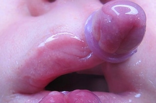 41649203_515596572200634_729826998810649662_n