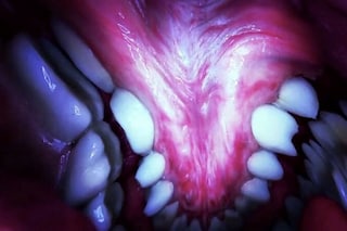 Screen Shot 2015-12-11 at 16.08.09