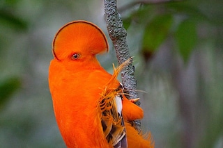 tumblr_mgxo8qk4iO1s3yrubo1_r1_1280