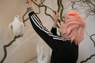 Photographs by Kate Cox