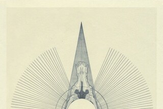 Sk&#246;ll (Repulsion) II , 2010, Stuart Patience