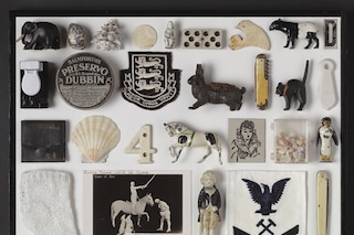 Homage To Mark Dion, Museum of Black And White, No