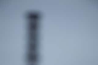 Chernobyl, Camera Focus Plant; 2010 &#169; Diana Thater