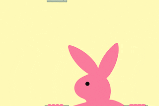bunny-1