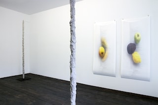 Anne de Vries (exhibition view)