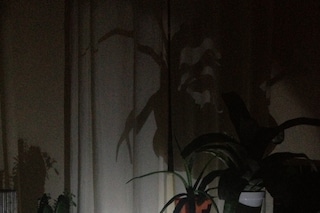 Cameron Mesirow&#39;s apartment during the blackout, s