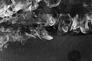 PJ Harvey and Seamus Murphy: The Hollow Of The Hand