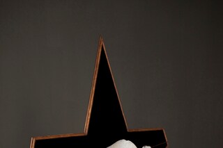 Degenerate General, Steinle Contemporary, 2011 (Mi