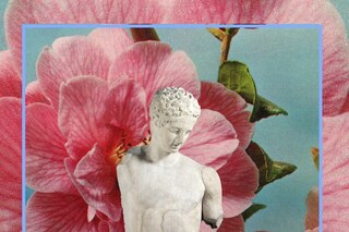  Live Wild CHARLOTTE FOS _LatinStudies1