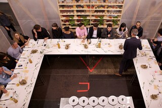 Grizedale Arts &amp; Yangjiang Group, Colosseum of the