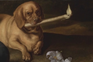 Juan de Pareja, The Hound of Saint Dominic (circa 1660s)