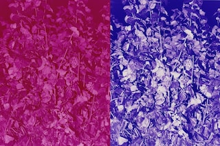 Mayumi Hosokura at Unseen Photo Fair 2015