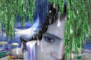 P&amp;V_overlayer06