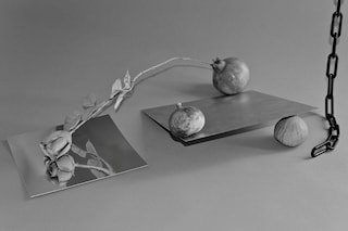 Alex Turgeon, A Rose by Any Other Name, 2013