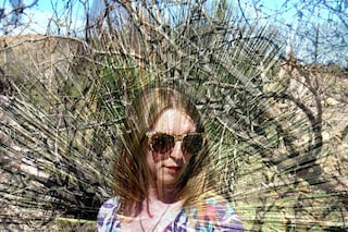 Text by Liz Colville