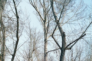 Earth People