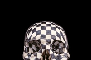Gabriel Orozco Black Kites, 1997 graphite on skull