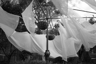 Marios Schwab SS/09 inspiration image