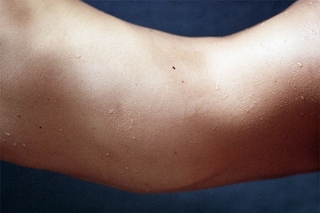Rita Lino&#39;s unpublished images