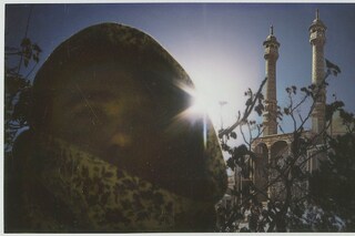 Vinyl Williams 2013 _ Teal Temple