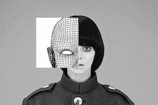 DC236_kendall_cover_12