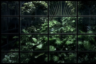 Melba's Call Up-Close