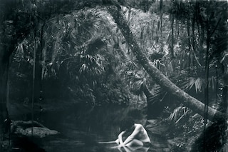 Untitled from 'Mythologies' 2009, Esther Teichmann