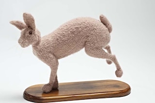 Photos by Scene Photography 2009