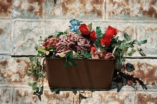 Flower Bucket, Austin, Texas