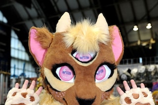 Furries