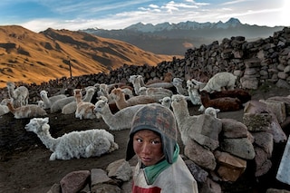 RCB_20110527_BOLIVIA50073-1