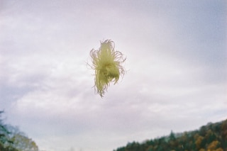 Luisa Opalesky Beauty Trilogy