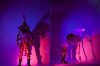 Photography by Ronald Stoops