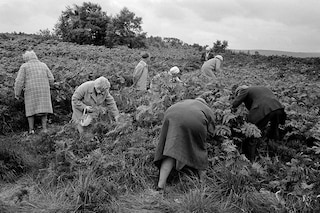 Martin Parr – Early Years 1