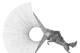Sk&#246;ll (Repulsion) I , 2010, Stuart Patience