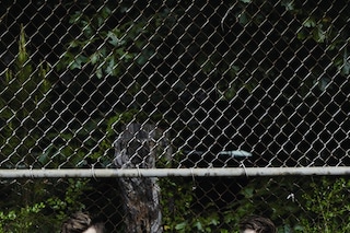 140620_DAZED_RAURY_S8_CHET_BETS_0172