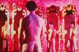 Pink Narcissus, 1971