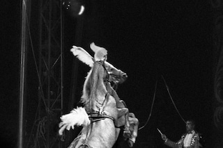 Craigie Horsfield, Circus, Placa de Torros la Monu